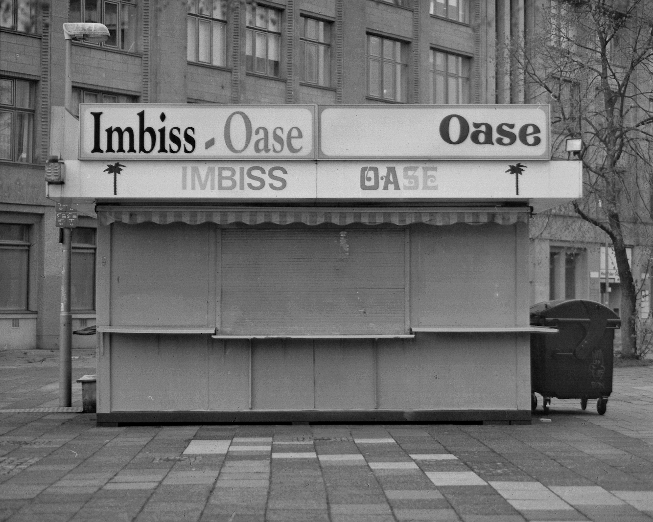 AnalogLeoWegener1